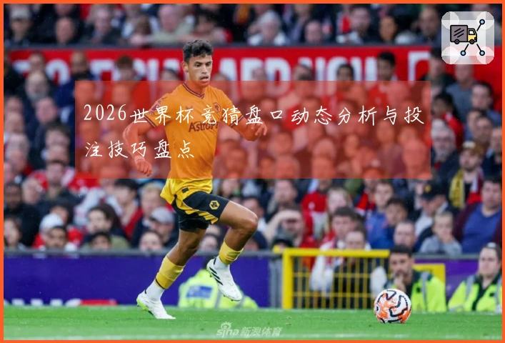 2026世界杯竞猜盘口动态分析与投注技巧盘点