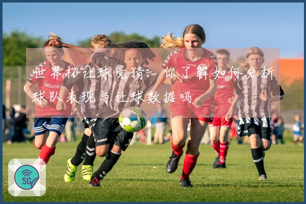 世界杯让球竞猜：你了解如何分析球队表现与让球数据吗