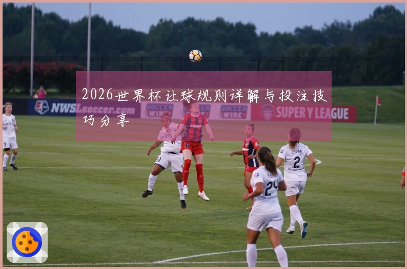 2026世界杯让球规则详解与投注技巧分享