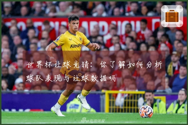 世界杯让球竞猜：你了解如何分析球队表现与让球数据吗